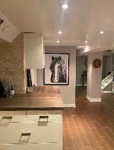 1 BEDROOM APARTMENT FOR RENT IN THE CITY CLOSE TO JUNCTION $1875 - Photo 4