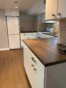 1 BEDROOM APARTMENT FOR RENT IN THE CITY CLOSE TO JUNCTION $1875 - Photo 6