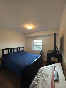 2 bedroom 1 bath Apartment - Photo 5