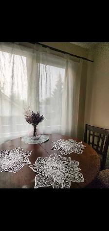 1 bedroom condo close Royal Alex Hospit GrMacEwan University