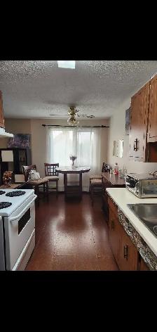 1 bedroom condo close Royal Alex Hospit GrMacEwan University - Photo 5
