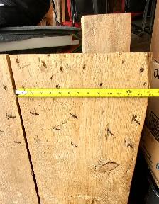 125 year old White Pine Grainery Door 59'×37'×1' - Photo 3
