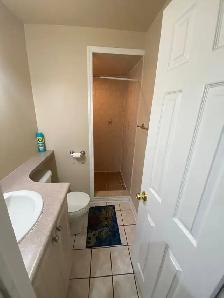 BASEMENT FOR RENT BRAMPTON - Photo 6