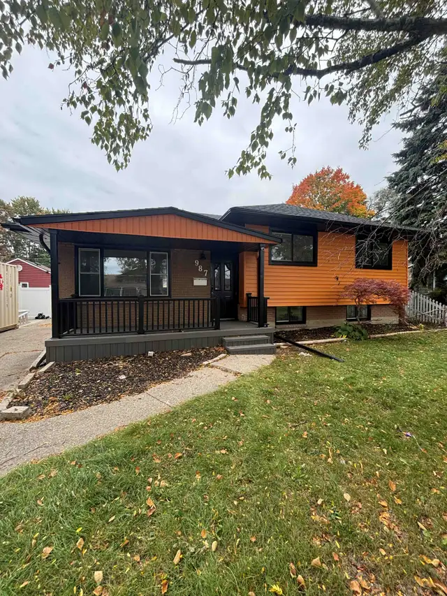 Beautifully Renovated 3 Bedroom Home with Pool & Fenced Yard