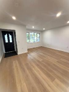 Beautifully Renovated 3 Bedroom Home with Pool & Fenced Yard - Photo 2