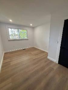 Beautifully Renovated 3 Bedroom Home with Pool & Fenced Yard - Photo 10
