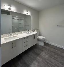 2 Bedroom/ 2 bathroom   den. 1395sq. ft. Heat incl. $2295/mth - Photo 13