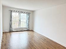 Spacious 1 Bedroom & 1 Bathroom Apartment in LaSalle - Photo 4