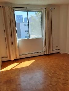 1 Bedroom Apartment - Photo 3