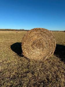 HAY BALES