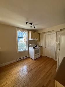 1 Bedroom apartment for rent Leslie Street - Photo 7
