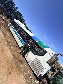 Junk Removal / Garbage Disposal TRASH KINGS - Photo 10