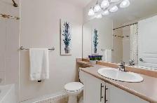 1 bedroom 1 bathroom apartment for rent near square one - Photo 5