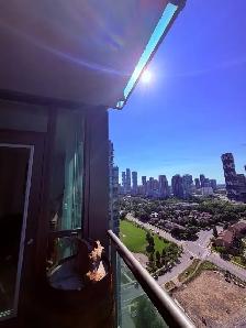 1 bedroom 1 bathroom apartment for rent near square one - Photo 10
