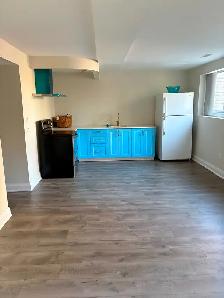 Walkout Basement apartment studio for rent