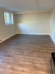 Walkout Basement apartment studio for rent - Photo 2