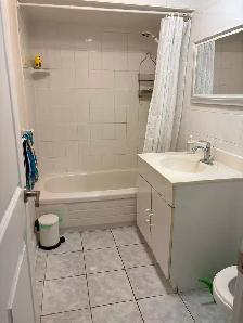 Walkout Basement apartment studio for rent - Photo 3