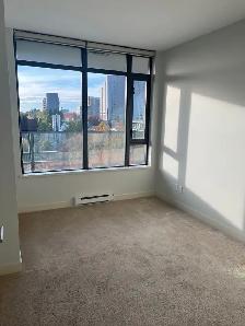2 Bed, 2 Bath, Den, HUGE 1120 sf, in-suite storage room - Photo 11