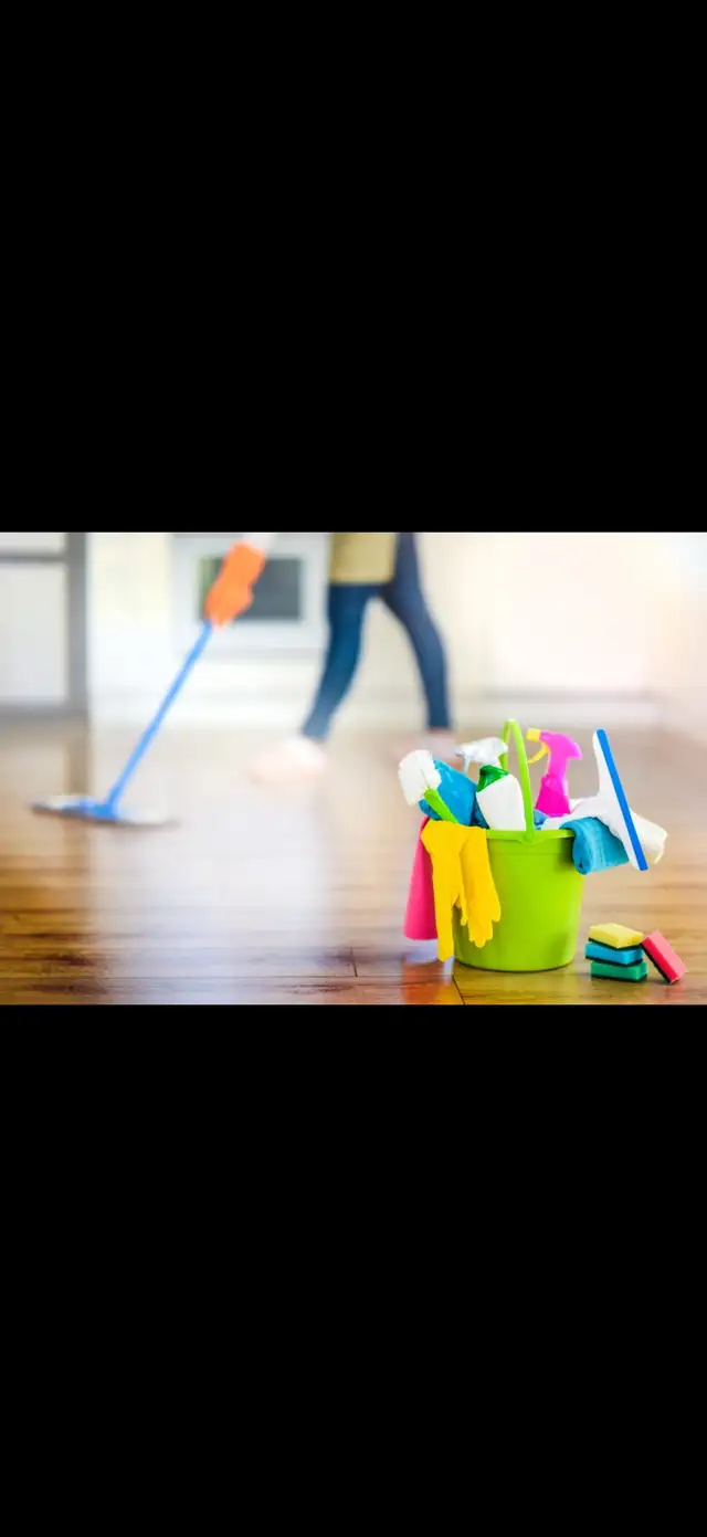 Experienced housekeeper/cleaner available -Toronto Area