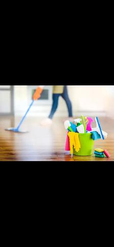 Experienced housekeeper/cleaner available -Toronto Area