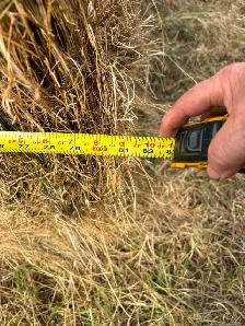 Hay For Sale - Photo 5