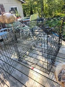 MidWest iCrate Dog Crate - Photo 3
