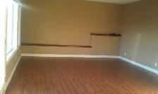 1 Bdrm private walkout Basement Suite - Photo 2