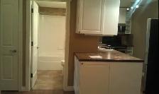 1 Bdrm private walkout Basement Suite - Photo 3