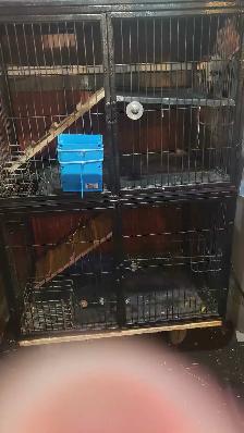 Small Animal Cage