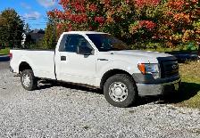 2011 Ford F150 - Photo 2