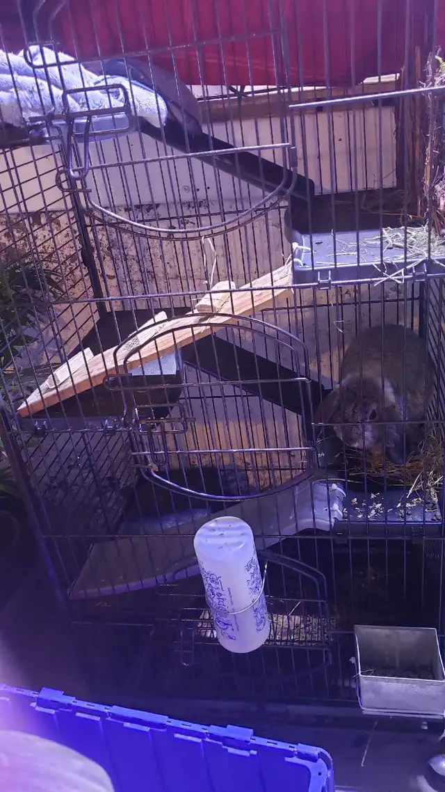 Small Animal Cage