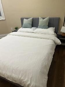 2 Bed 1 Bath In Richmond Hill (Josie Dr & May Ave) - Photo 6