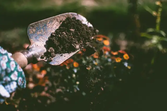 Rich Garden Soil Blend for Vegetable Beds & Planters