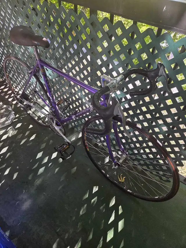 vélos de course médium disponible