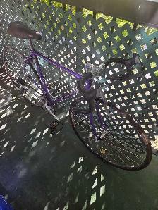 vélos de course médium disponible