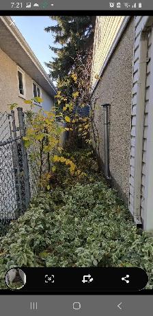 Edmonton's #1 Helper (Fall/Winter) - Photo 4