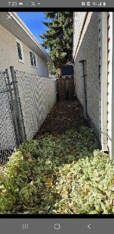 Edmonton's #1 Helper (Fall/Winter) - Photo 5