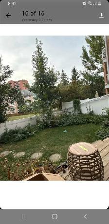 Edmonton's #1 Helper (Fall/Winter) - Photo 6
