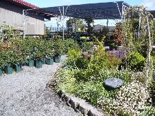 Pea Gravel for Garden Walkways, Borders & Shed Pads - Photo 2