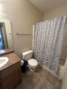 201 Blue Jay Rd - Photo 19