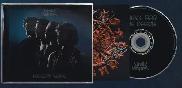 GRETA VAN FLEET AUTOGRAPHED HAND SIGNED NEW CD 'PALACE'! - Photo 2