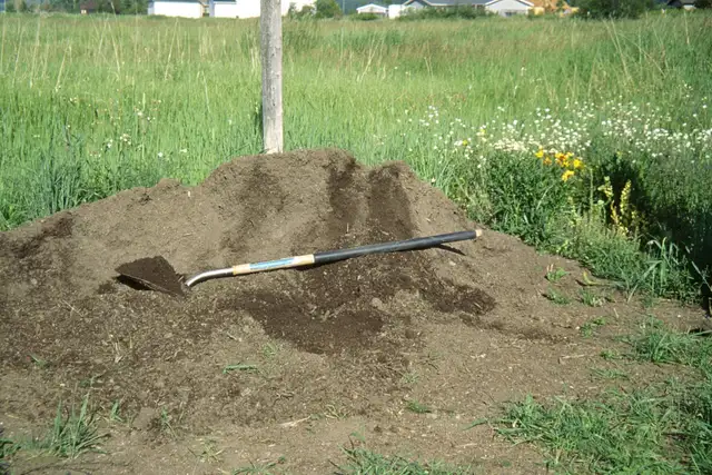 Bulk Topsoil Delivered - Fill Low Spots & Build Up Garden Grade