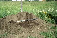 Bulk Topsoil Delivered - Fill Low Spots & Build Up Garden Grade