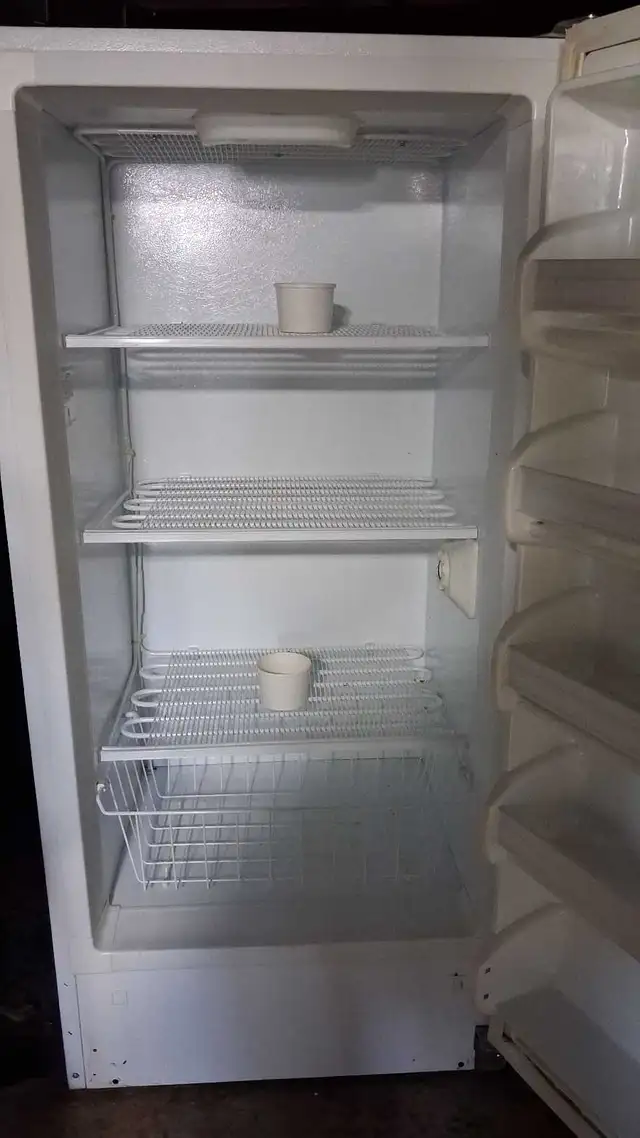 Stand up Freezer