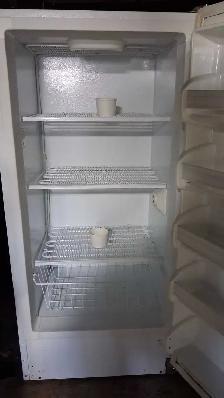 Stand up Freezer