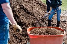 Fresh Bulk Topsoil for Fall Planting, Shrubs & Hedges