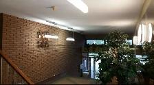 GREAT 3 Bedroom in NDG - Photo 9