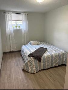 Female Room for rent 1 min to WLU!