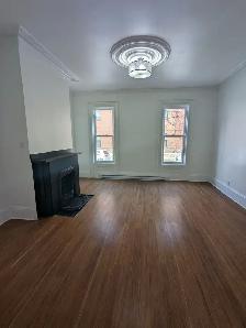 178 Princess St #1 - 1BR Uptown, Newly Renovated, Spacious, W/D - Photo 2