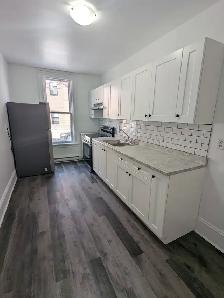 178 Princess St #1 - 1BR Uptown, Newly Renovated, Spacious, W/D - Photo 4